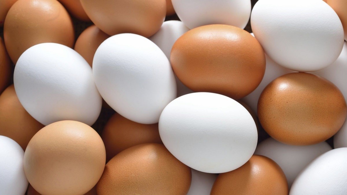 240 quả trứng gà để làm nên bánh trứng khổng lồ