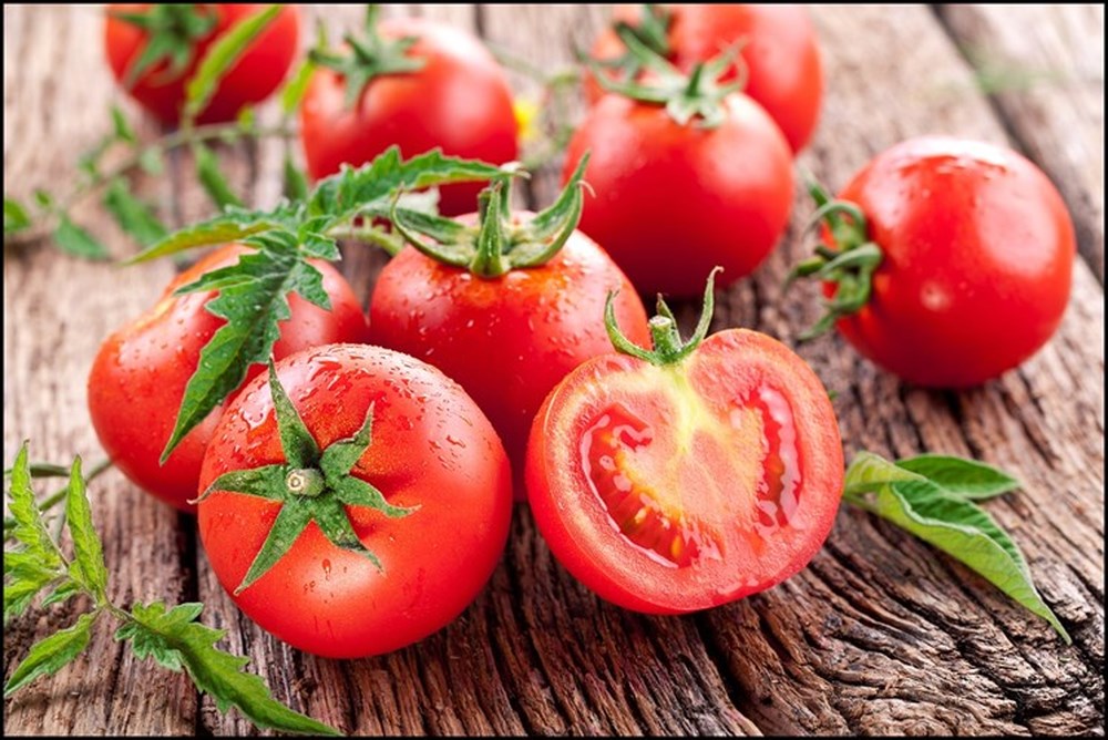 Cà chua là một loại thực phẩm rất quen thuộc