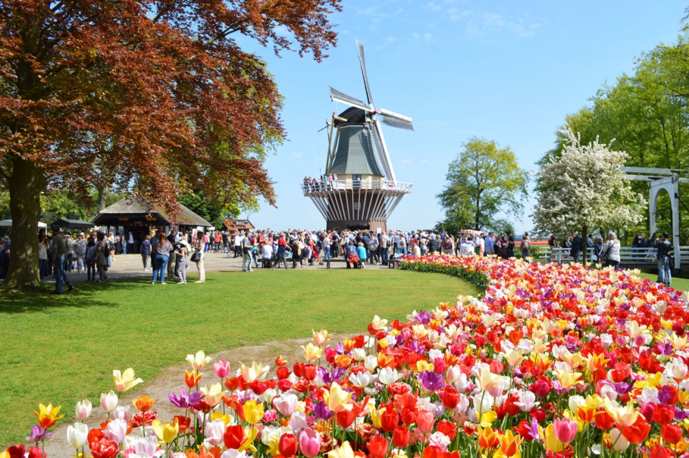 Hà Lan – Cùng lạc vào xứ sở hoa tu líp