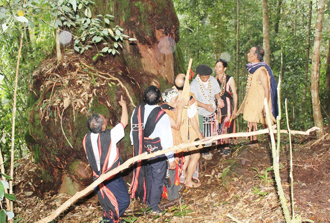 Ý thức bảo vệ rừng của người dân trong làng