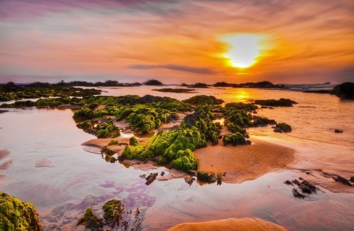 Gành đá Lộ Diêu – địa điểm hấp dẫn ít ai biết đến tại Bình Định