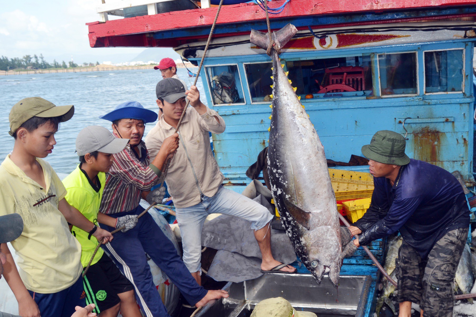 Cá ngừ đại dương- món ăn hàng ngày của người Philipines