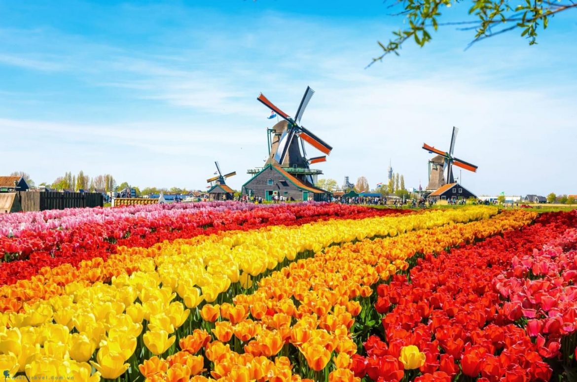 Top 6 điểm đến lý tưởng bạn nên đến 1 lần khi du lịch Hà Lan